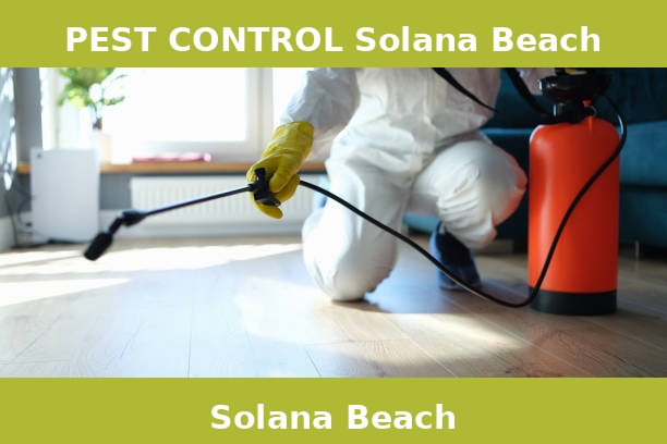 PEST CONTROL Solana Beach